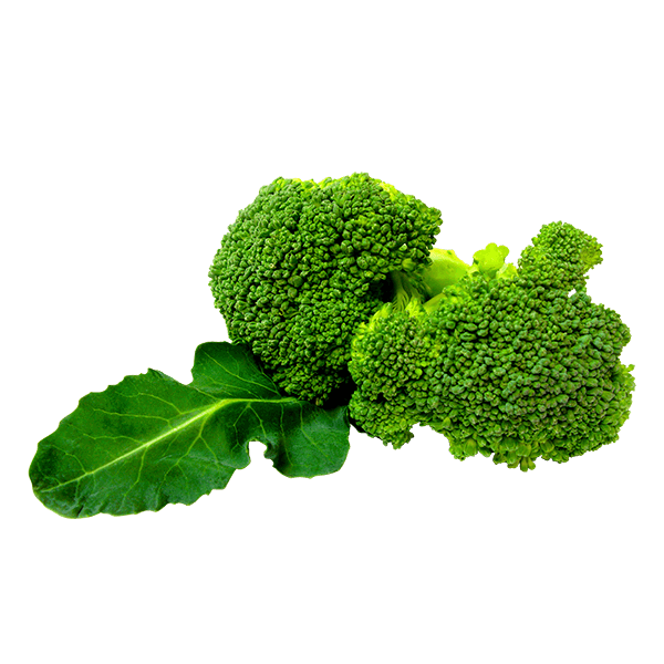 Organic Broccoli 1 pc (Approx. 200 - 350 g)
