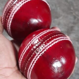 Leather Cricket Training/Practice Balls (2Pcs)