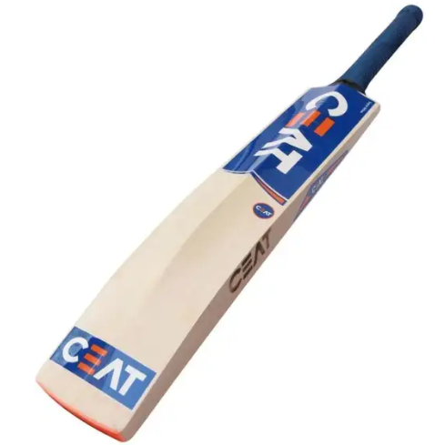CEAT Kashmir Willow Cricket Bat - Image 2